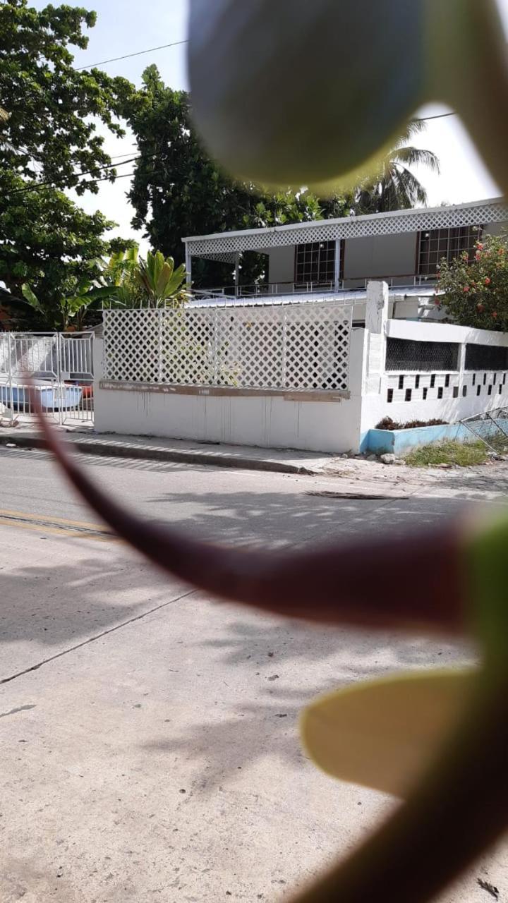 Joebi'S House Walking Distance To Rocky Cay Beach Ideal For Families Or Groups Buenavista  Екстер'єр фото
